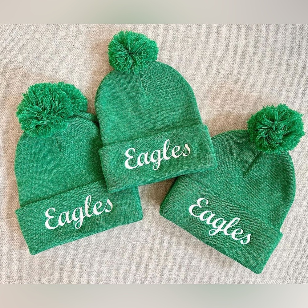 Philadelphia eagles knitted hat